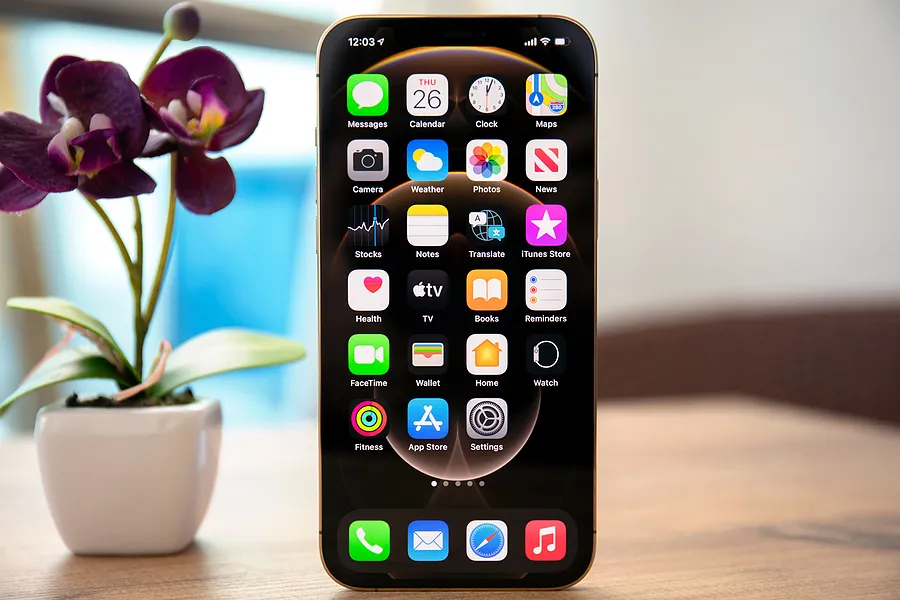 Un iPhone posé à côté d'une fleur