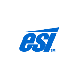 Logo d'E&S International Enterprises (ESI)